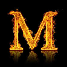 upload_2025-5-6_13-20-59.jpeg