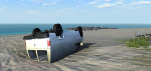 beachedwhale.jpg