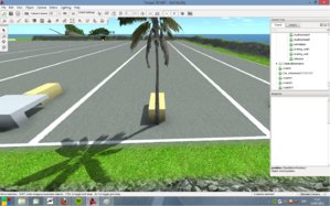 palmtree.jpg
