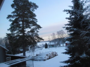 PC200108.JPG