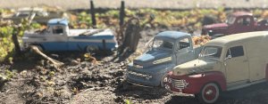 IMG_4055.jpeg