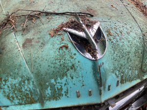 IMG_1484.jpeg