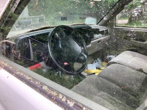 IMG_1491.jpeg