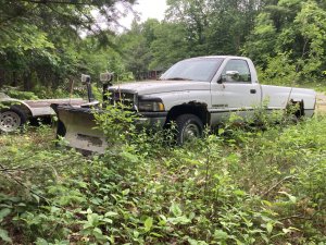 IMG_1489.jpeg