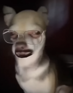 dwag.png