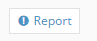 report.PNG