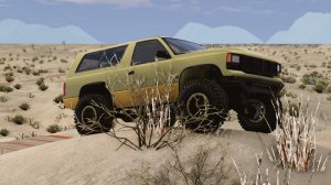 broncotrophy.jpg