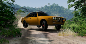 rallying91privatrally.png