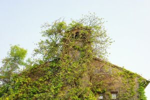 R0000002.jpg