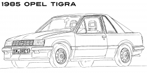 corsatigraA.png