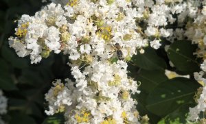 20230905_090607-crop.jpg