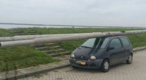 covertwingo-365x200.jpg