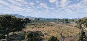 Fields.jpg