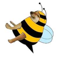upload_2023-12-21_6-47-39.gif