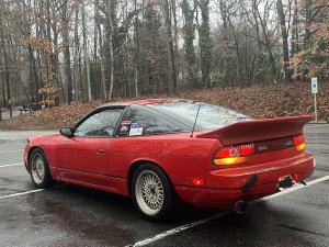 IMG_9556.jpg
