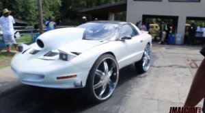 firebird-e1519900402660.jpg