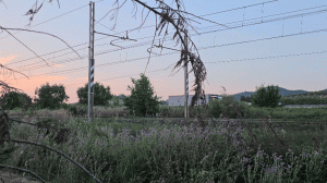 InShot_20240129_153129526.gif