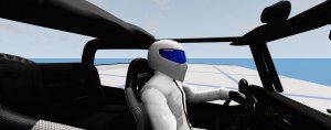 stig2.jpg