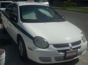 800px-03-05_Dodge_Neon_Taxi.jpg