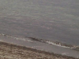 104_0579.jpg