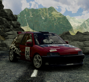 picnicrallyteam.png