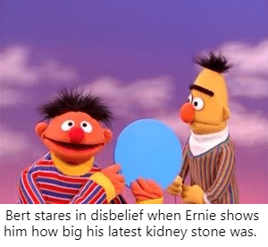 bert-stares-in-disbelief.png