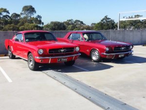 Mustangs.jpg