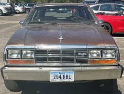 492528.jpg