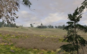 02.jpg