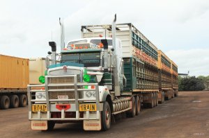 OwnerOperatorKenworthC508.jpg