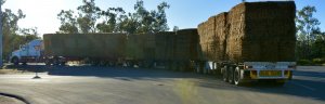 OwnerOperatorWesternStar4964FXCTripleFlatdeckHayRoadTrain1.jpg