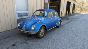 beetle_front.png