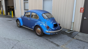 beetle_rear.png