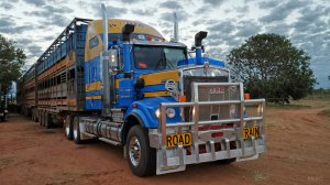 RoadTrainsofAustraliaC5095.jpg