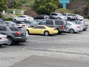 IMG_9002.jpeg