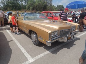 IMG20240525104702.jpg