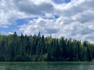 IMG_4856.jpeg