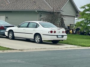 IMG_1366.jpeg