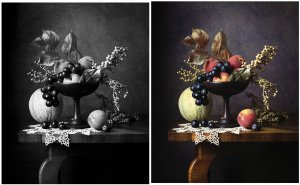 8cMDGourleyROCKMELONStudioStillLifeMAMIYARZPro2Film.jpg