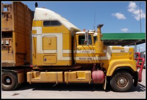 AlphaFreightLinesMackSuperliner2.jpg