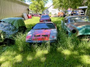 IMG_5025.jpeg