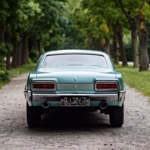 1974-year-gavril-corona-car-rear-view.jpeg