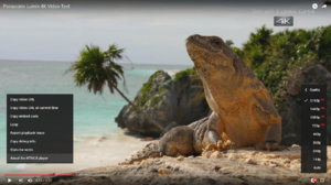 I can play fullscreen 4K video with the HTML5 player on YouTube.jpg