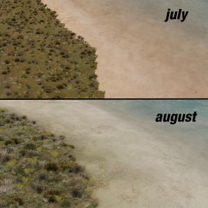 cbt2.png