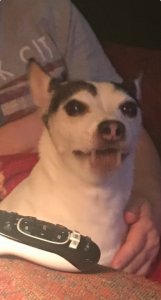 IMG_6936.jpeg