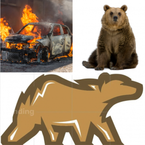Bearlogo.png
