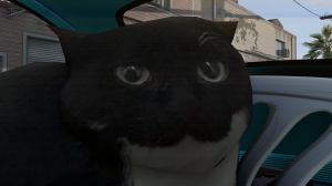 screenshot_2024-09-18_13-27-17.png