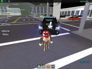 RobloxPlayerBeta 2016-01-03 07-39-26-676.jpg