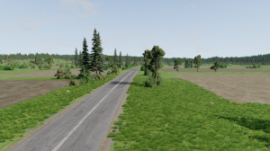 long_road.png