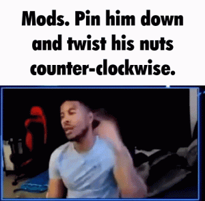 tenor.gif